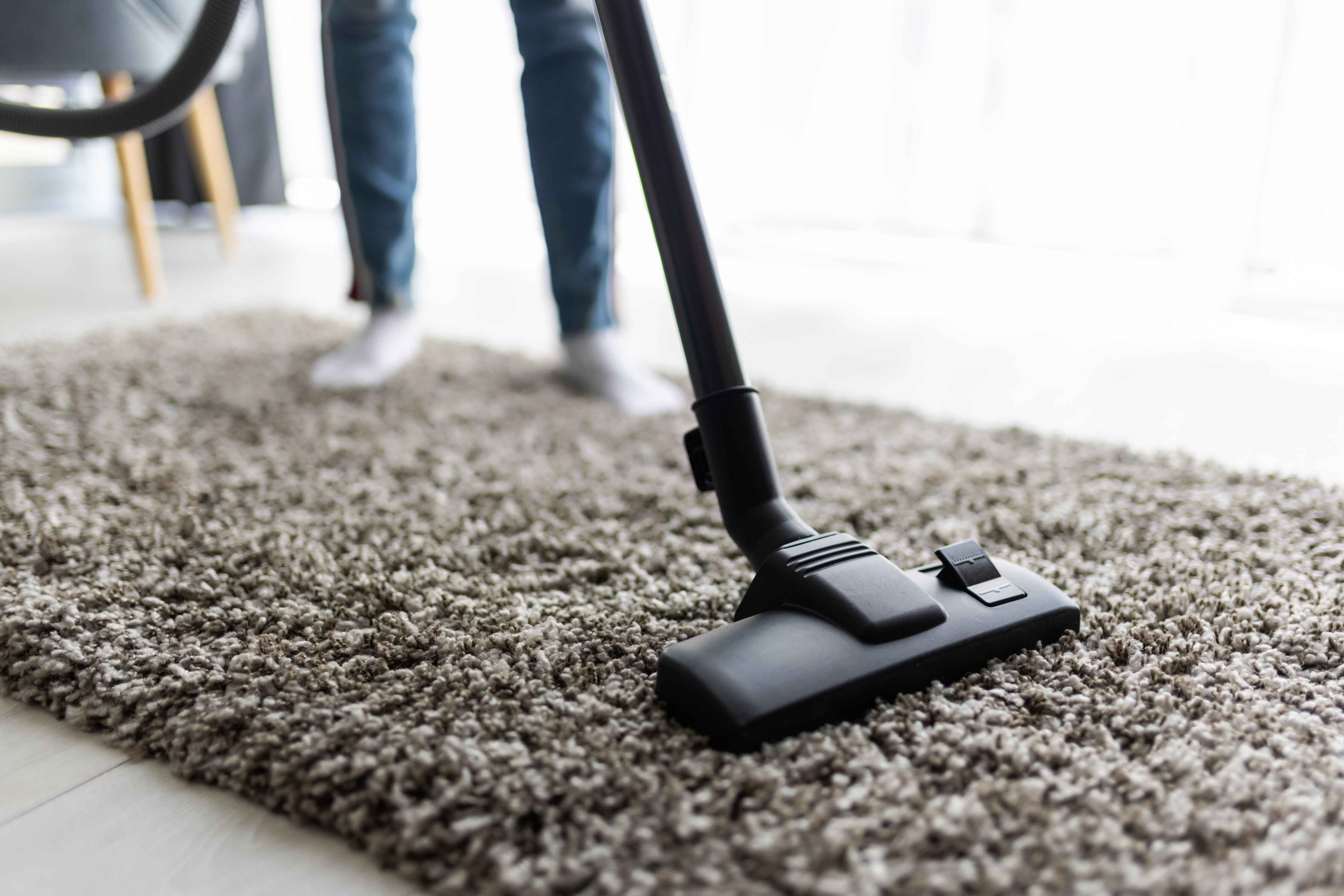 Choosing the Right Carpet Cleaning Service
